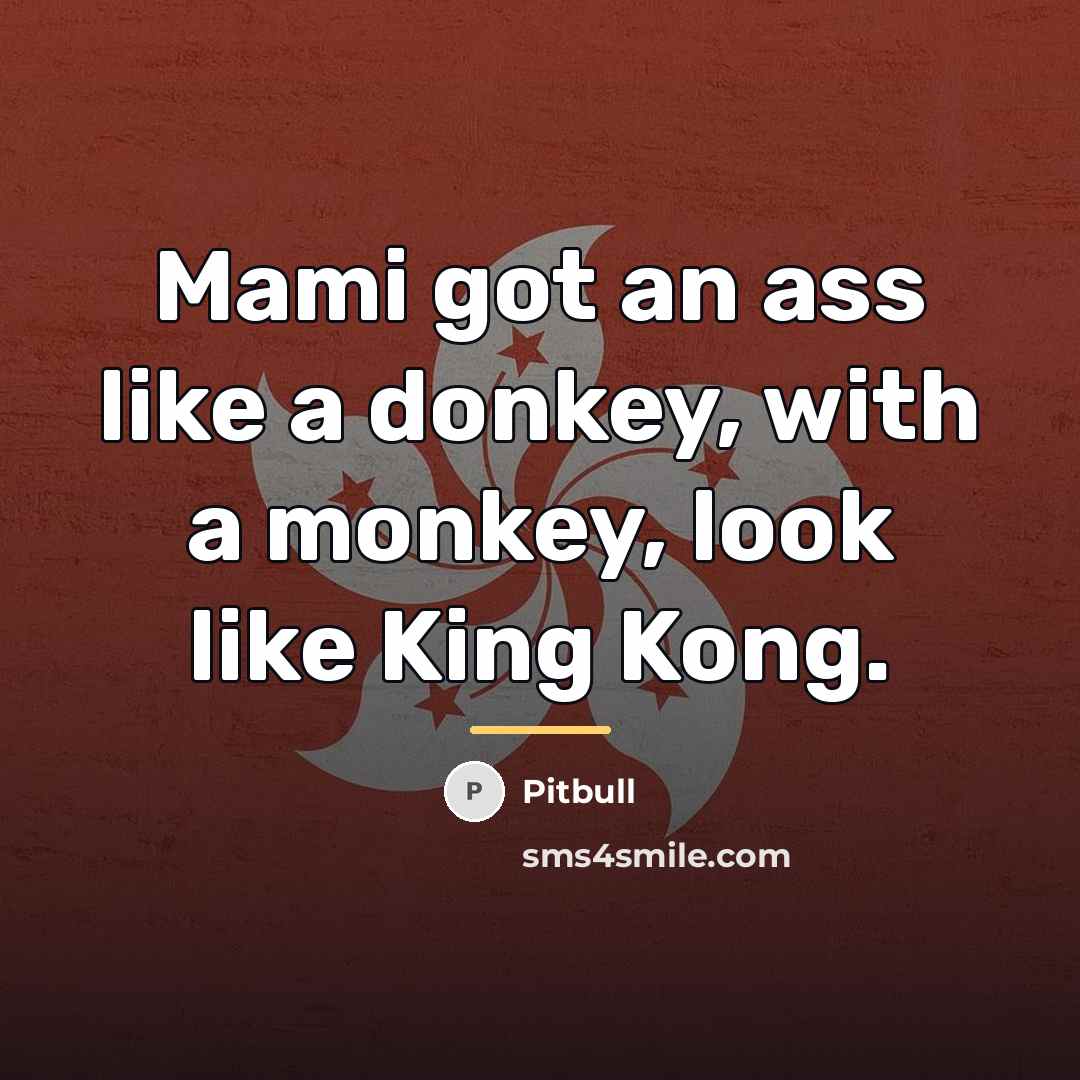 “Mami got an ass like a donkey, with a monkey,…” quote by Pitbull