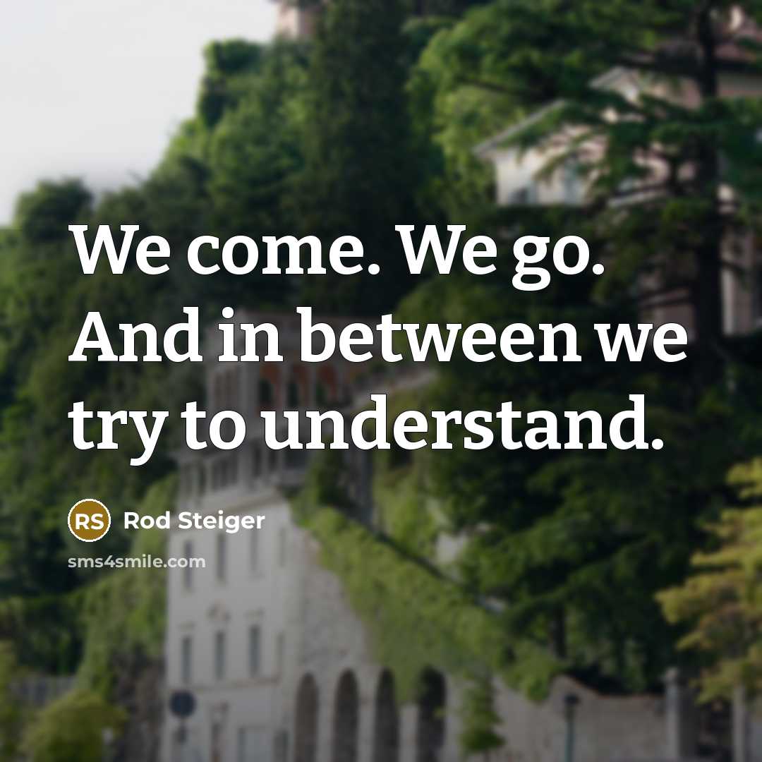 “We come. We go. And in between we try to…” quote by Rod Steiger
