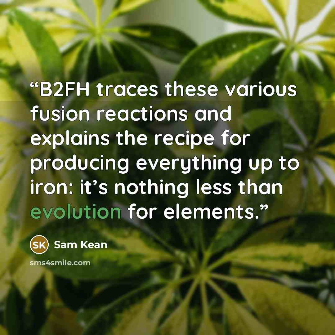“B2FH traces these various fusion reactions and explains the recipe for producing everything up to iron: it’s nothing less than evolution for elements.” quote by Sam Kean