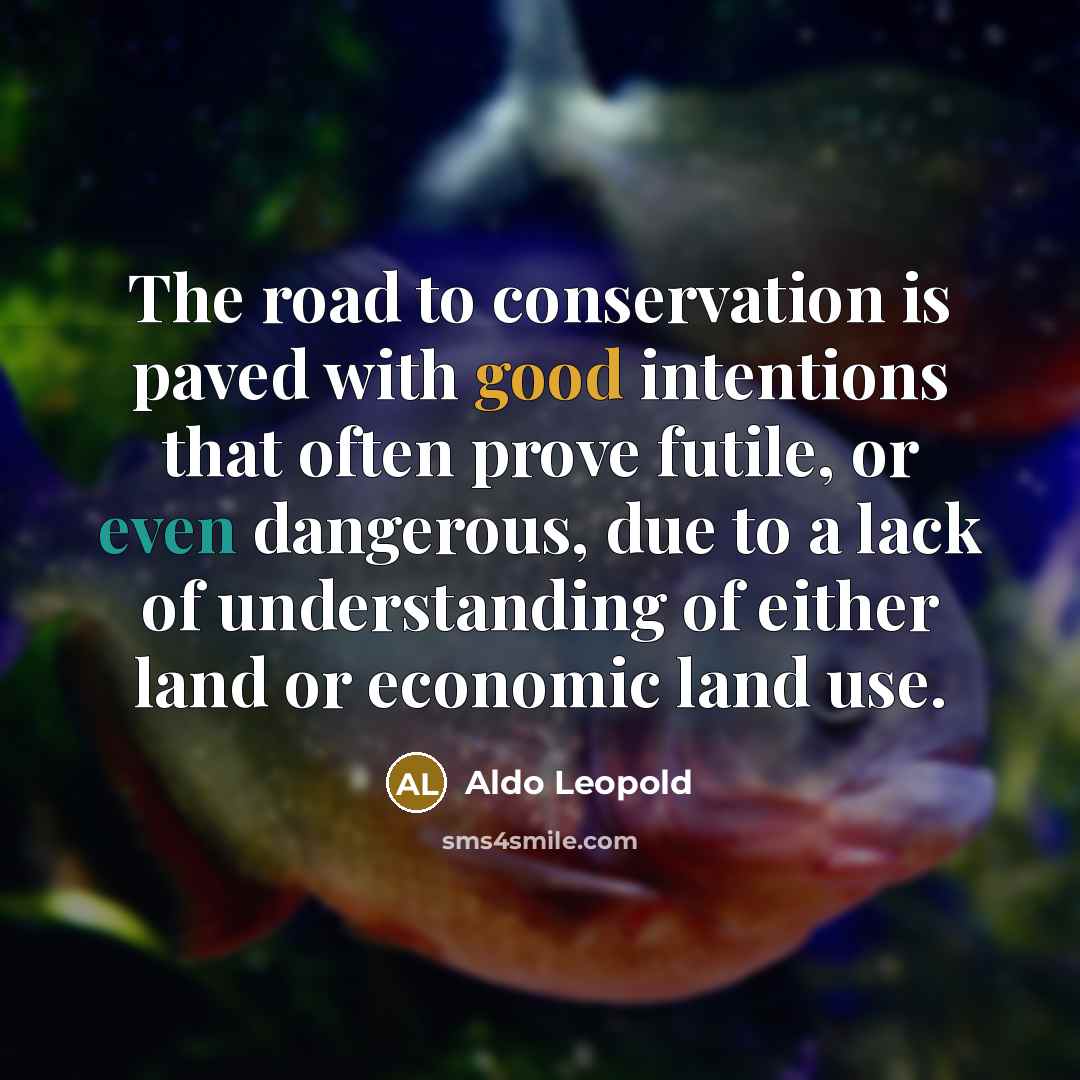 “The road to conservation is paved with good intentions that…” quote by Aldo Leopold