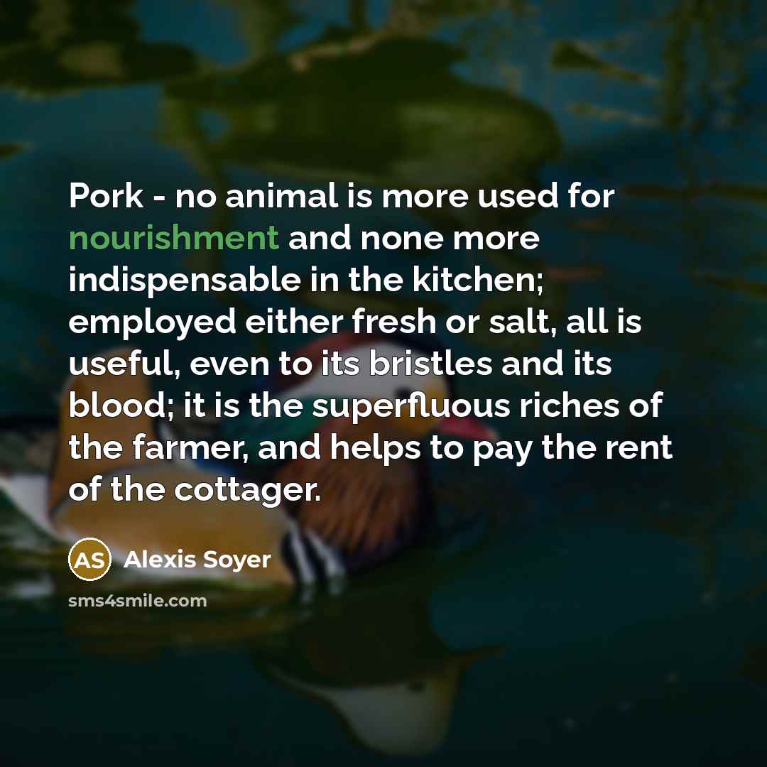 “Pork - no animal is more used for nourishment and…” quote by Alexis Soyer