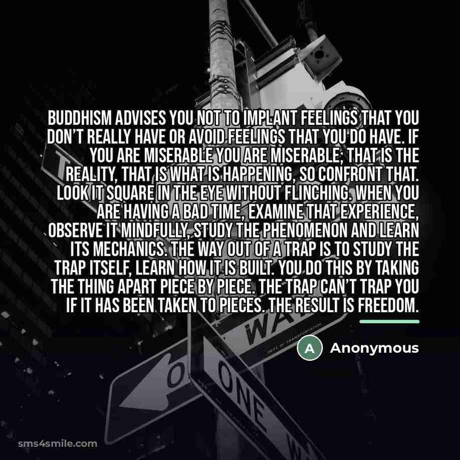 “Buddhism advises you not to implant feelings that you don’t…” quote by Anonymous