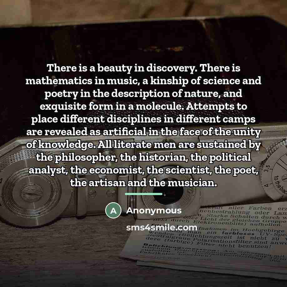 “There is a beauty in discovery. There is mathematics in…” quote by Anonymous