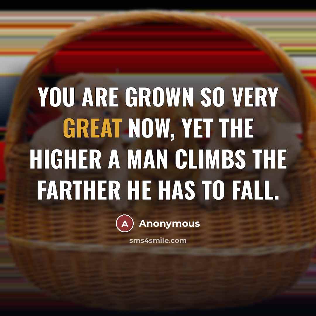 “You are grown so very great now, yet the higher…” quote by Anonymous