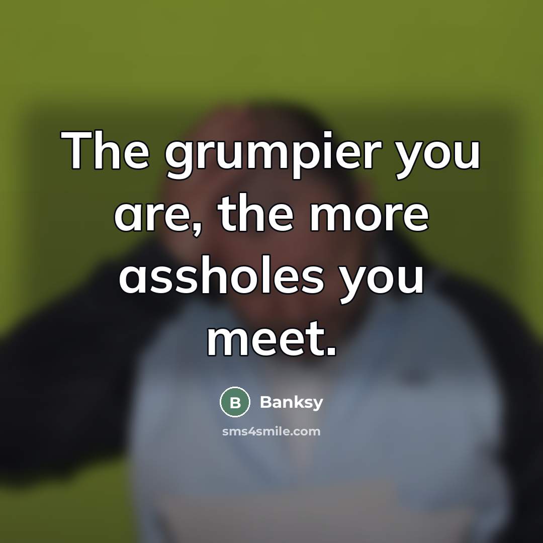 “The grumpier you are, the more assholes you meet.…” quote by Banksy