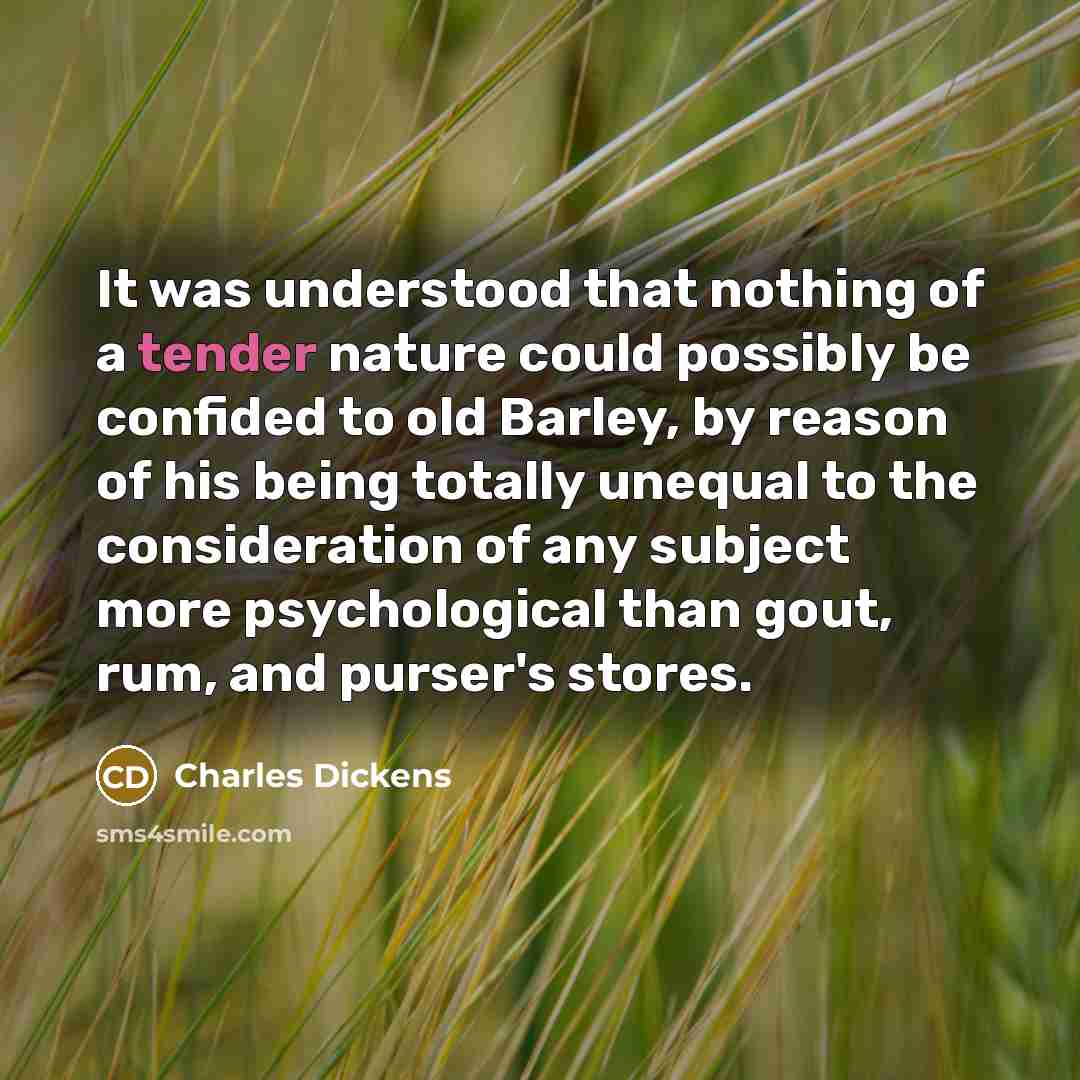“It was understood that nothing of a tender nature could…” quote by Charles Dickens