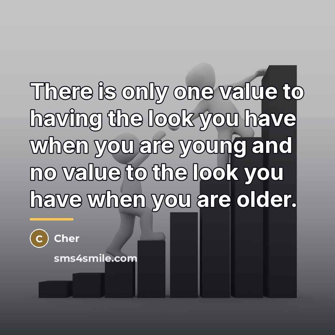 “There is only one value to having the look you…” quote by Cher