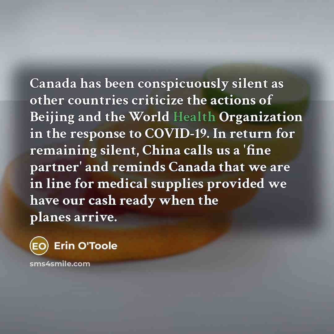 “Canada has been conspicuously silent as other countries criticize the…” quote by Erin O'Toole