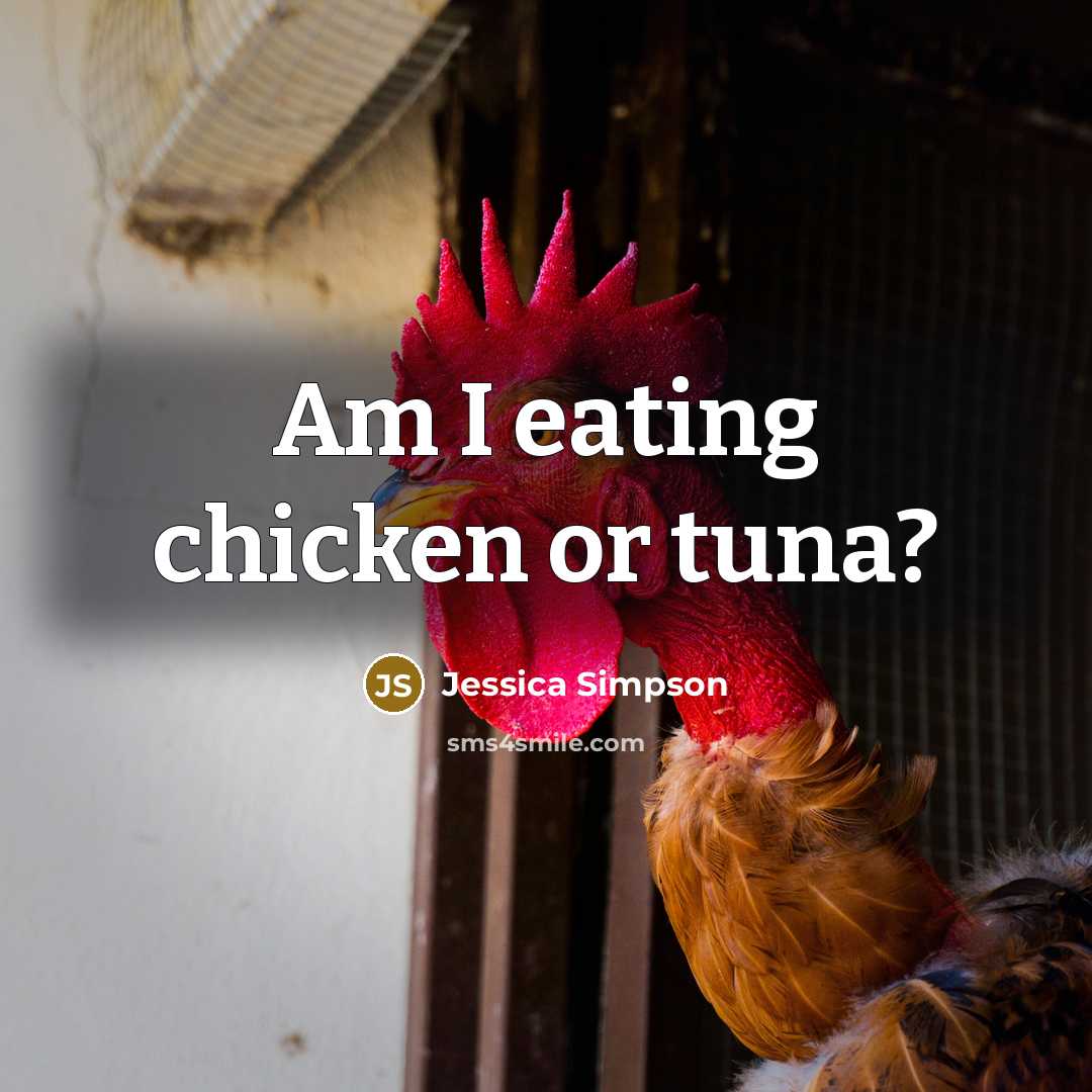“Am I eating chicken or tuna?” quote by Jessica Simpson