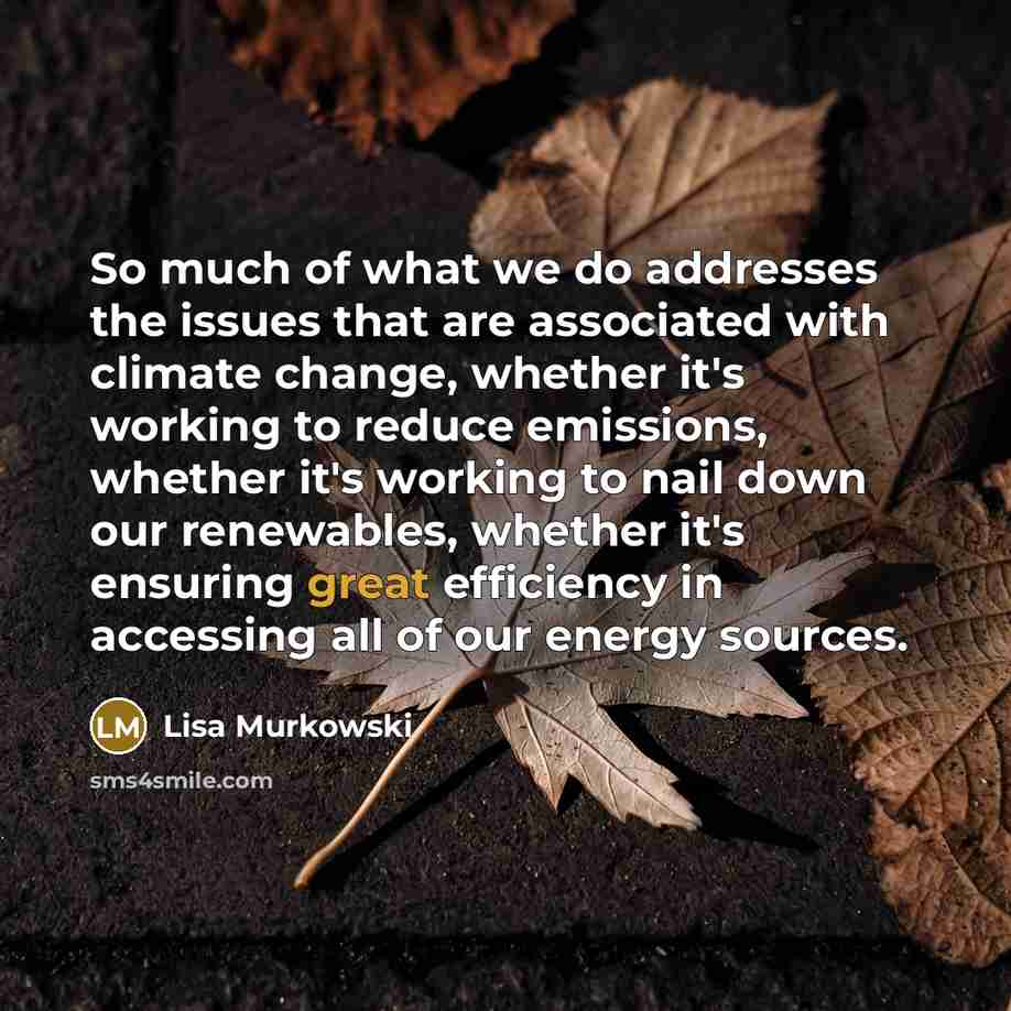 “So much of what we do addresses the issues that…” quote by Lisa Murkowski