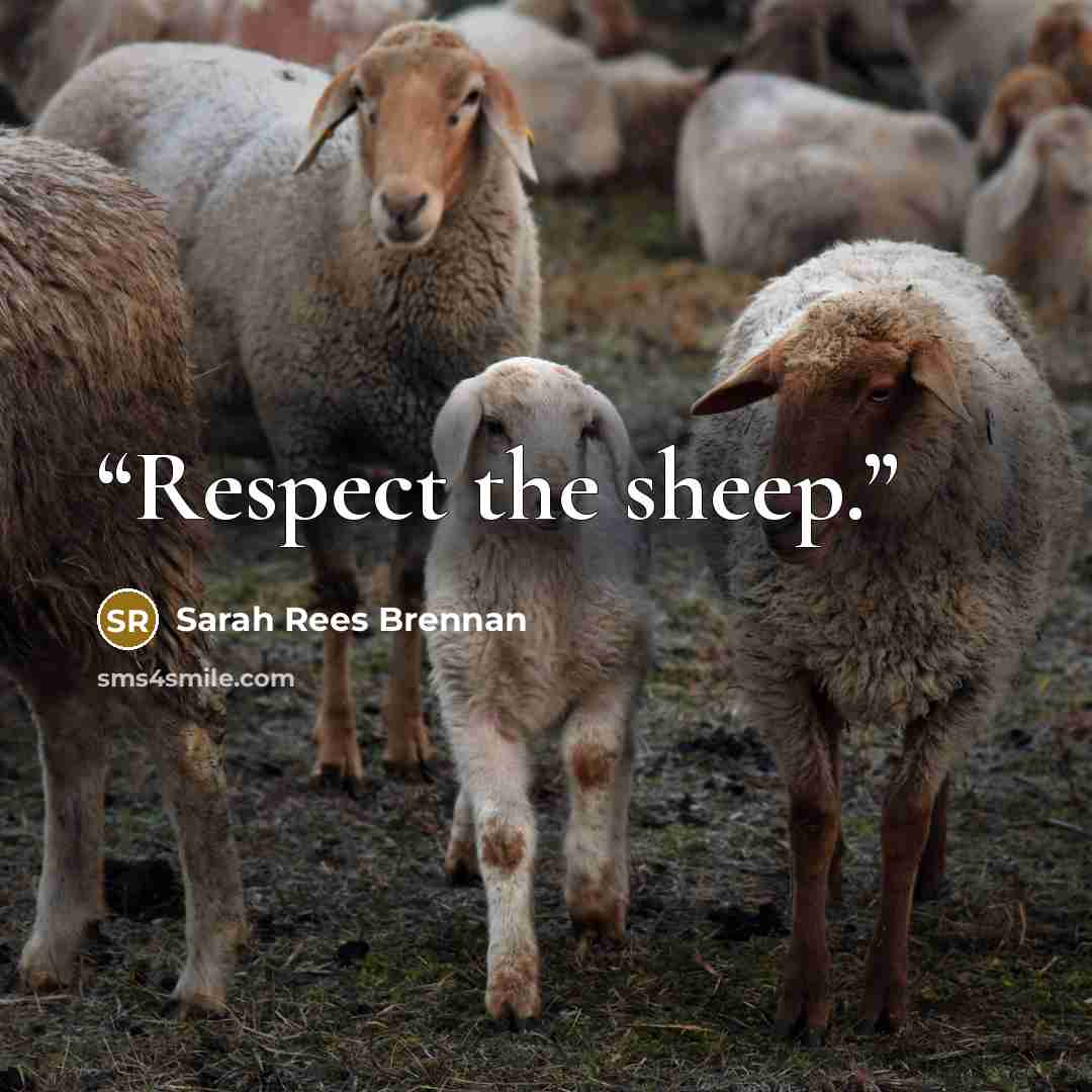 “Respect the sheep.” quote by Sarah Rees Brennan
