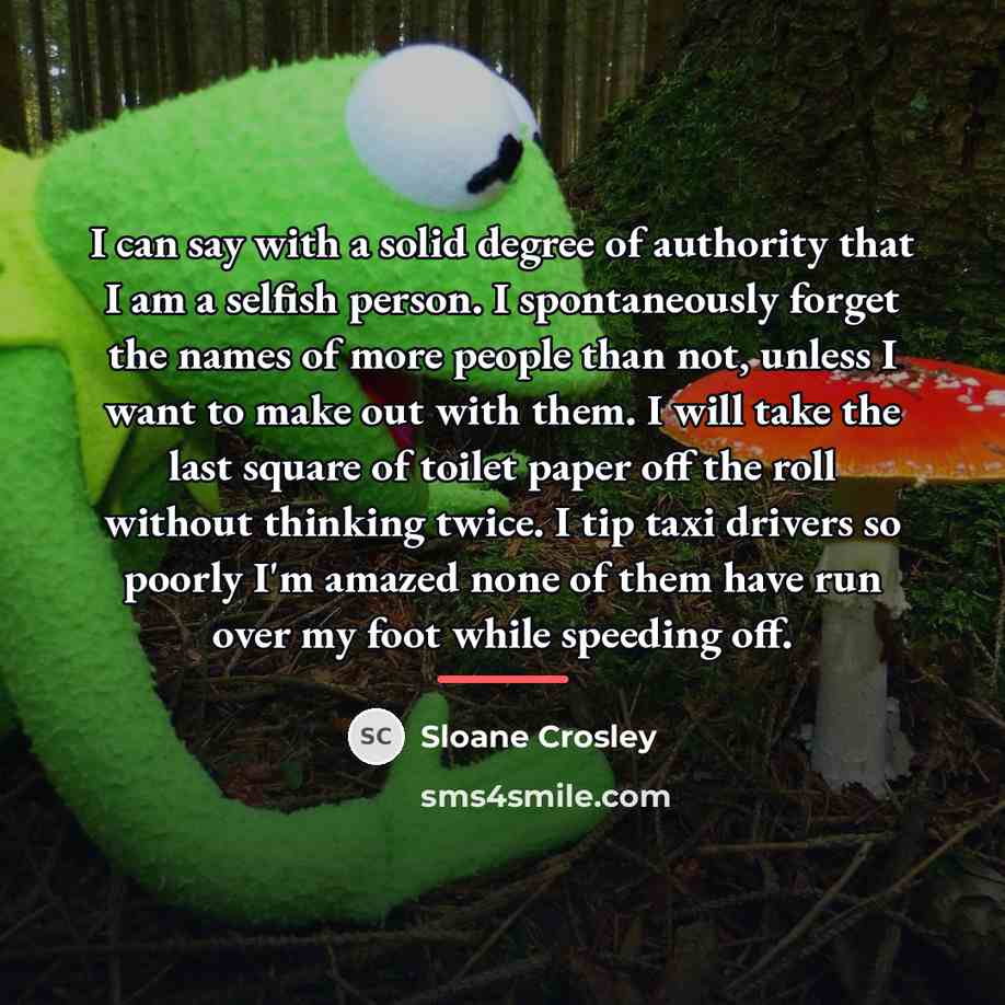 “I can say with a solid degree of authority that…” quote by Sloane Crosley