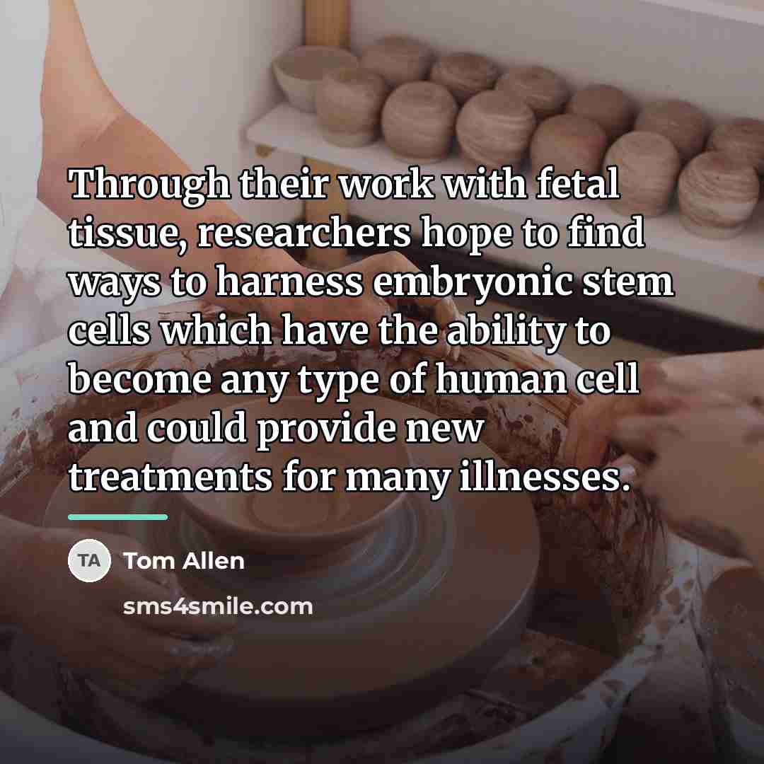 “Through their work with fetal tissue, researchers hope to find…” quote by Tom Allen