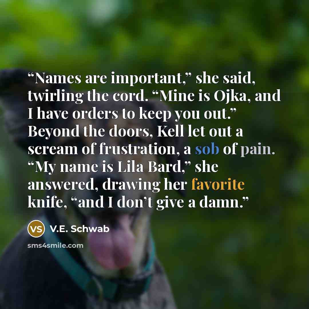 “Names are important,” she said, twirling the cord. “Mine is Ojka, and I have orders to keep you out.” Beyond the doors, Kell let out a scream of frustration, a sob of pain. “My name is Lila Bard,” she answered, drawing her favorite knife, “and I don’t give a damn.” quote by V.E. Schwab