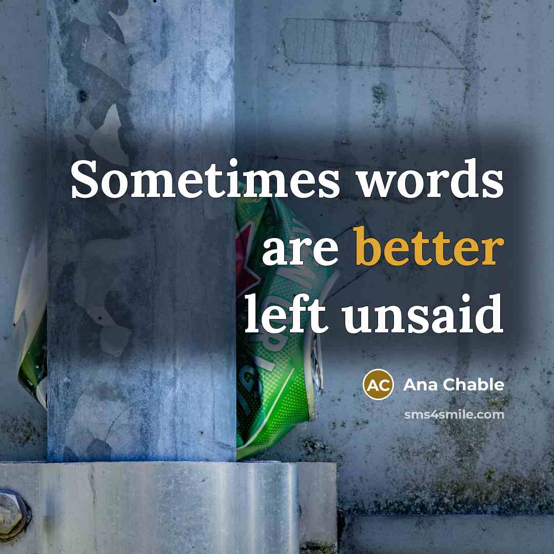“Sometimes words are better left unsaid” quote by Ana Chable