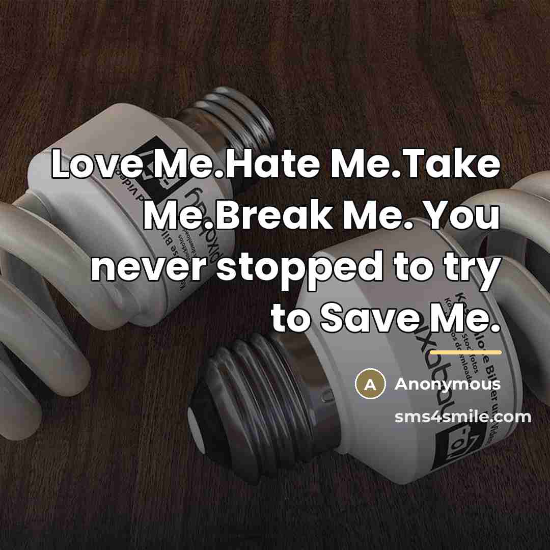 “Love Me.Hate Me.Take Me.Break Me. You never stopped to try…” quote by Anonymous