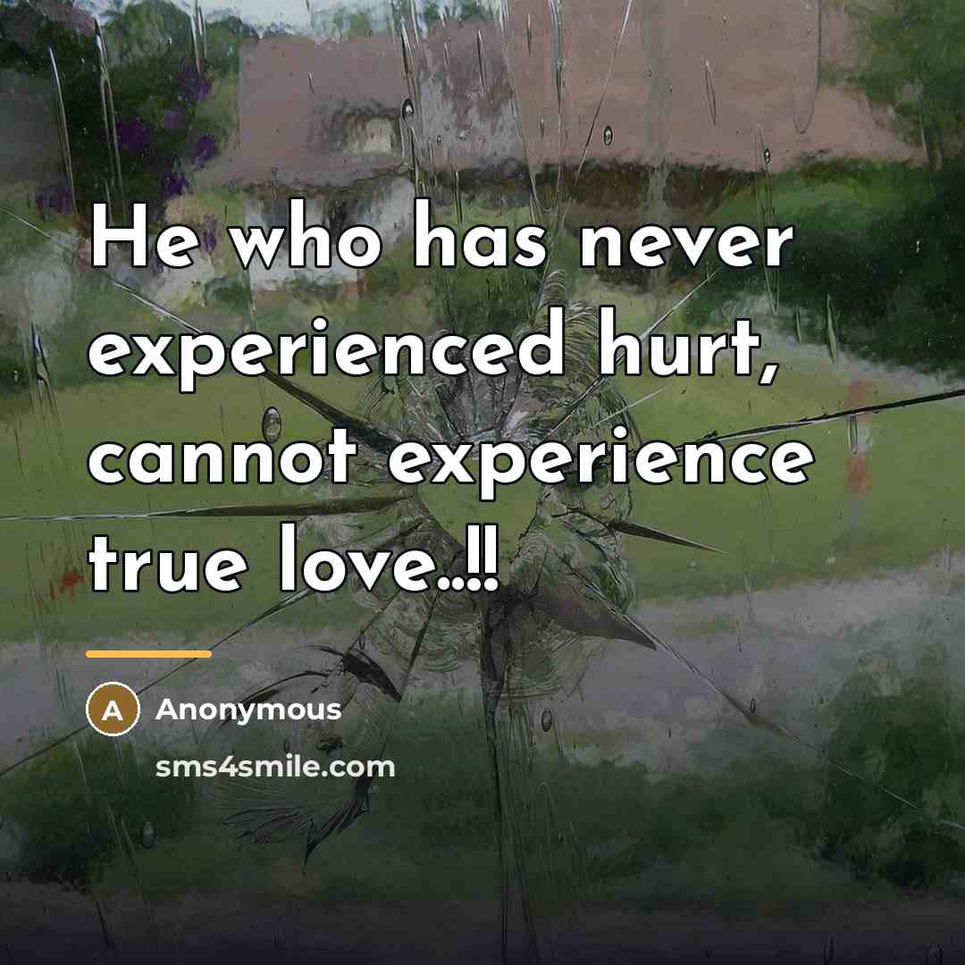 “He who has never experienced hurt, cannot experience true love..!!…” quote by Anonymous