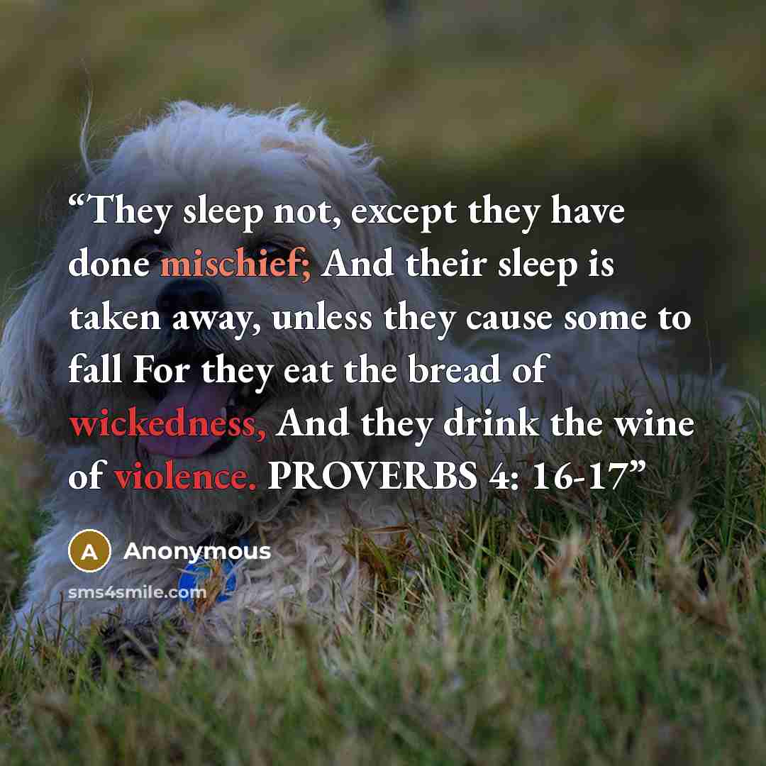 “They sleep not, except they have done mischief; And their sleep is taken away, unless they cause some to fall For they eat the bread of wickedness, And they drink the wine of violence. PROVERBS 4: 16-17” quote by Anonymous