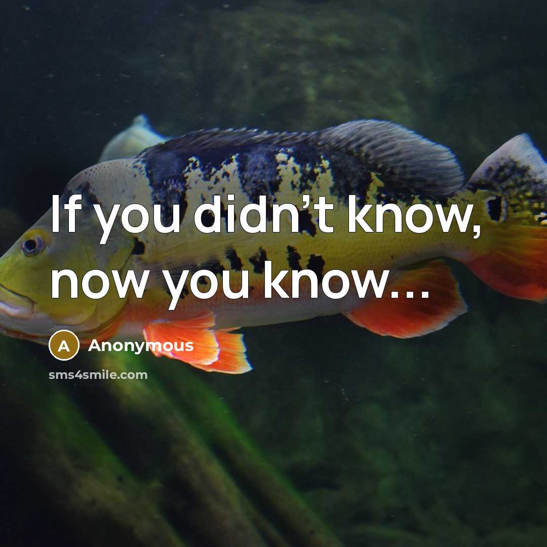“If you didn't know, now you know...…” quote by Anonymous