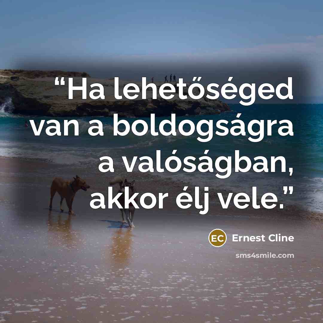 “Ha lehetőséged van a boldogságra a valóságban, akkor élj vele.” quote by Ernest Cline