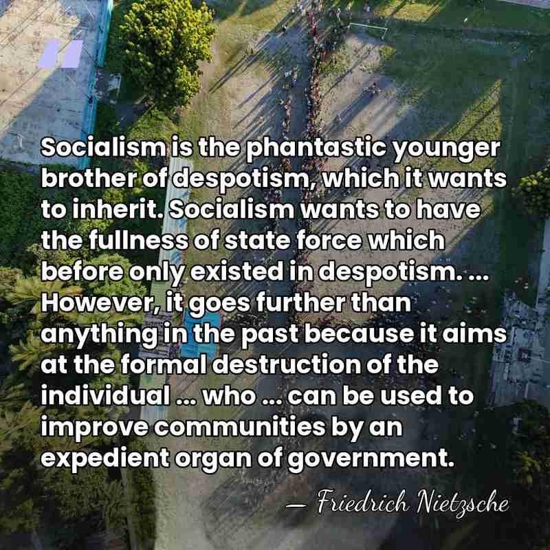 Socialism is the phantastic younger brother of despotism, which it wants to&hellip; - Friedrich Nietzsche
