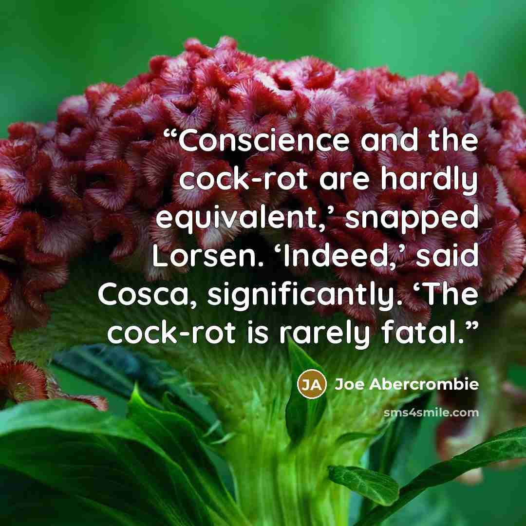 “Conscience and the cock-rot are hardly equivalent,’ snapped Lorsen. ‘Indeed,’ said Cosca, significantly. ‘The cock-rot is rarely fatal.” quote by Joe Abercrombie
