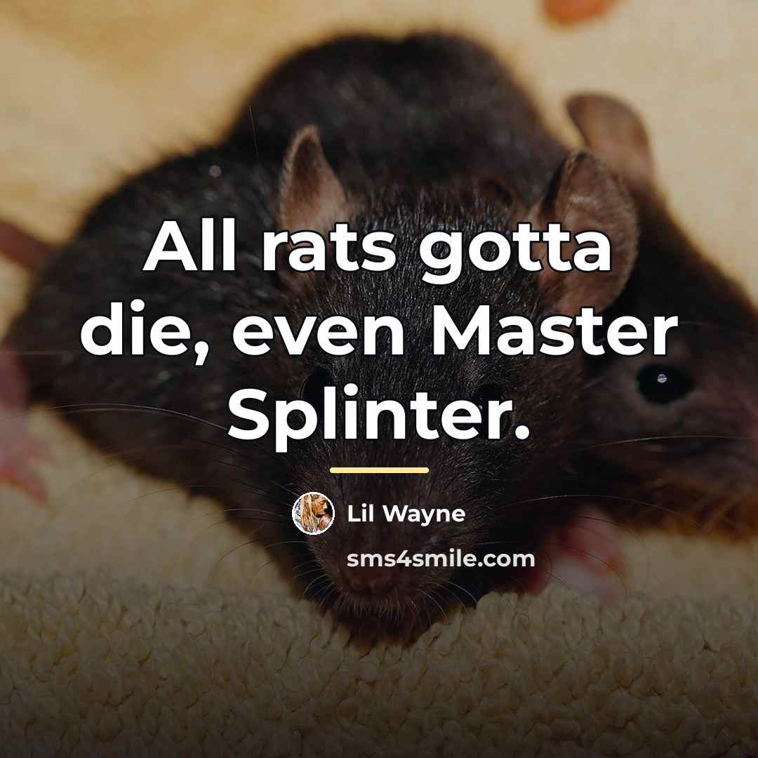 “All rats gotta die, even Master Splinter.…” quote by Lil Wayne