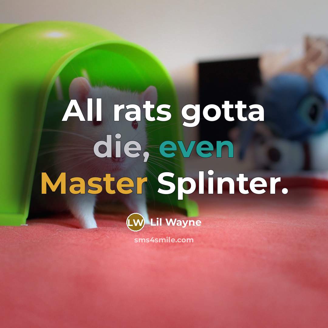 “All rats gotta die, even Master Splinter.” quote by Lil Wayne
