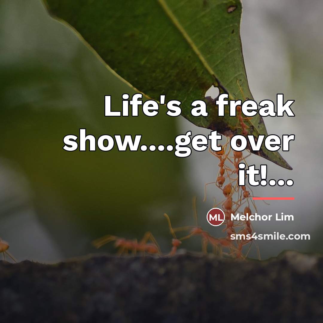 “Life's a freak show....get over it!...…” quote by Melchor Lim