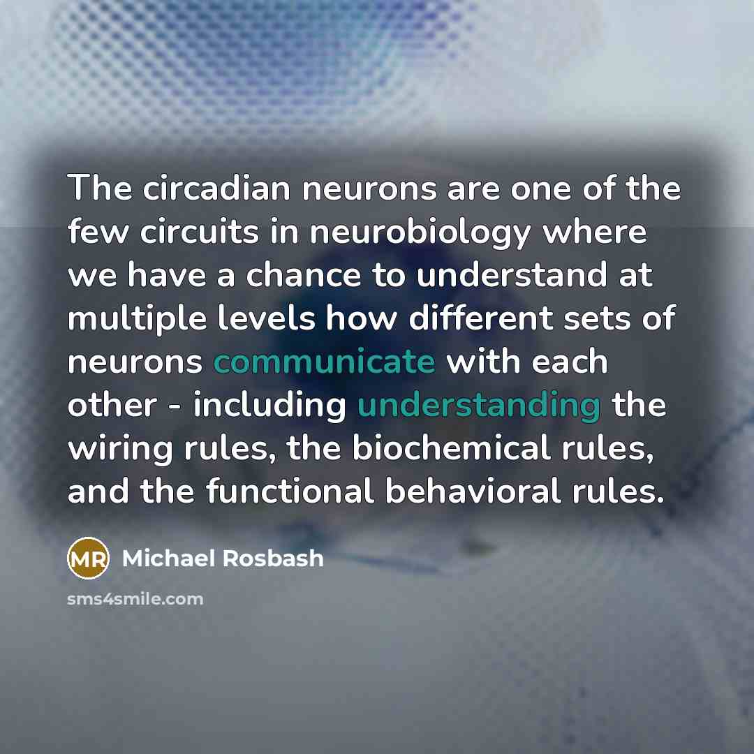 “The circadian neurons are one of the few circuits in neurobiology where we have a chance to understand at multiple levels how different sets of neurons communicate with each other - including understanding the wiring rules, the biochemical rules, and the functional behavioral rules.” quote by Michael Rosbash