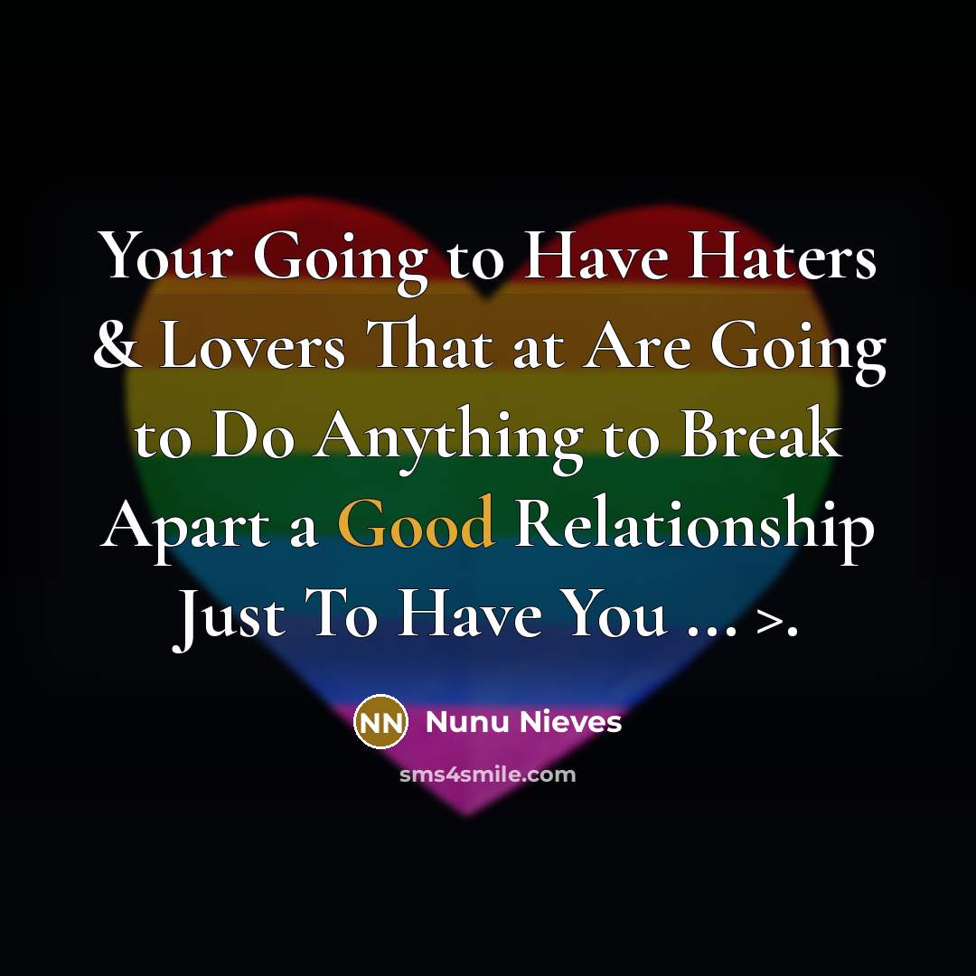 “Your Going to Have Haters & Lovers That at Are Going to Do Anything to Break Apart a Good Relationship Just To Have You ... >.” quote by Nunu Nieves