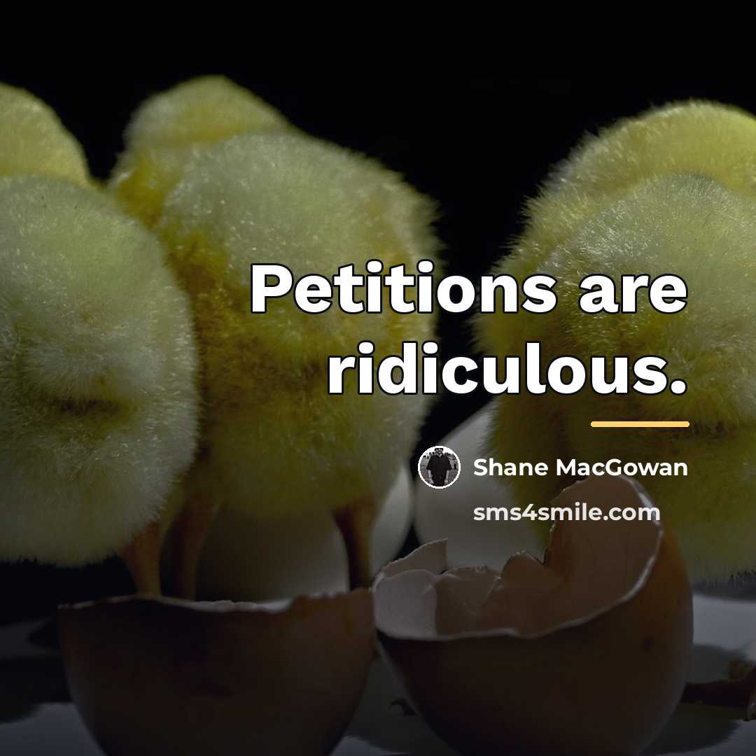 “Petitions are ridiculous.…” quote by Shane MacGowan