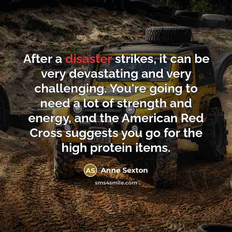 “After a disaster strikes, it can be very devastating and…” quote by Anne Sexton