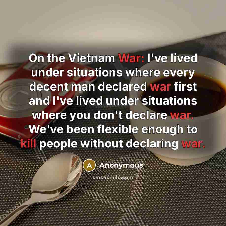 “On the Vietnam War: I've lived under situations where every decent man declared war first and I've lived under situations where you don't declare war. We've been flexible enough to kill people without declaring war.” quote by Anonymous