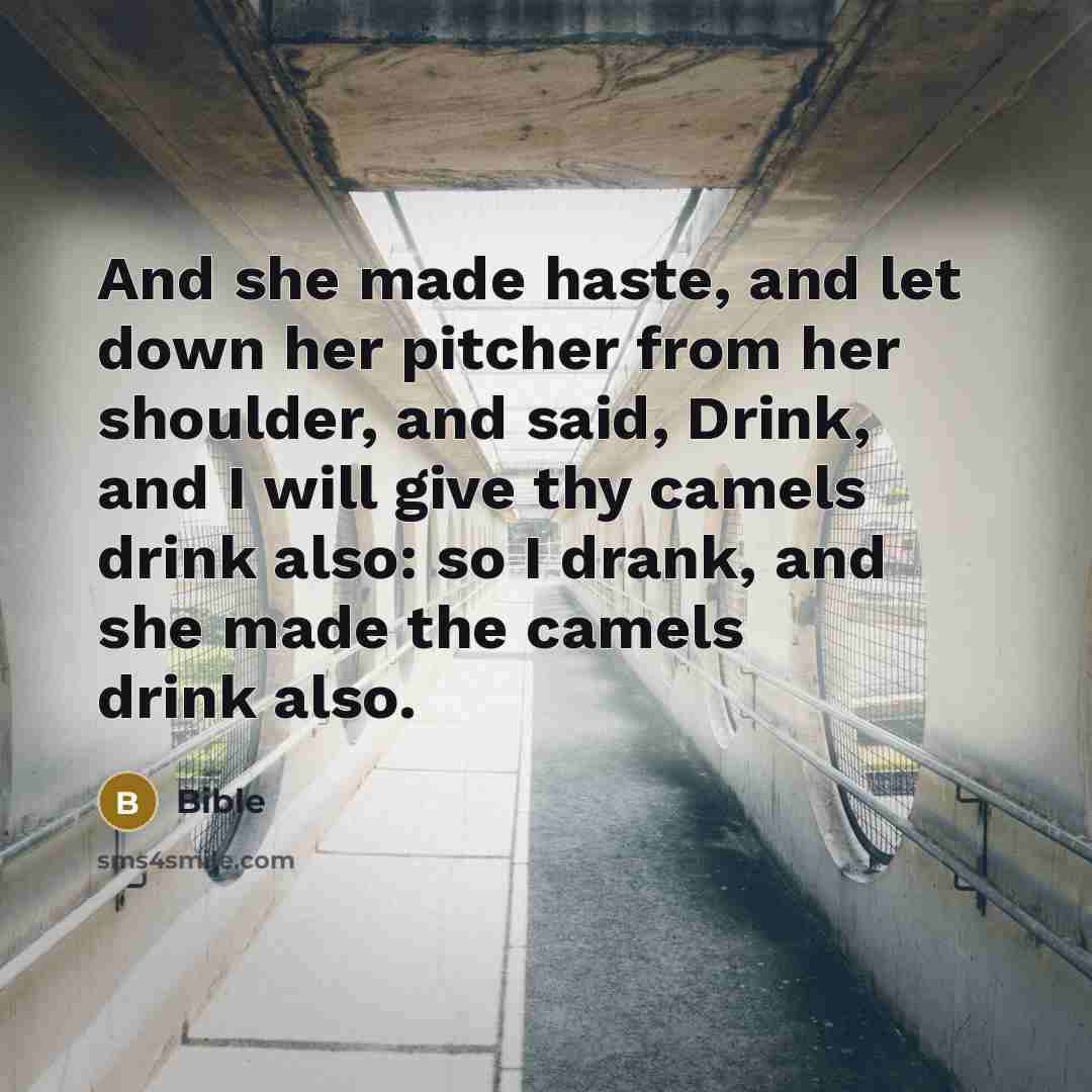 “And she made haste, and let down her pitcher from her shoulder, and said, Drink, and I will give thy camels drink also: so I drank, and she made the camels drink also.” quote by Bible