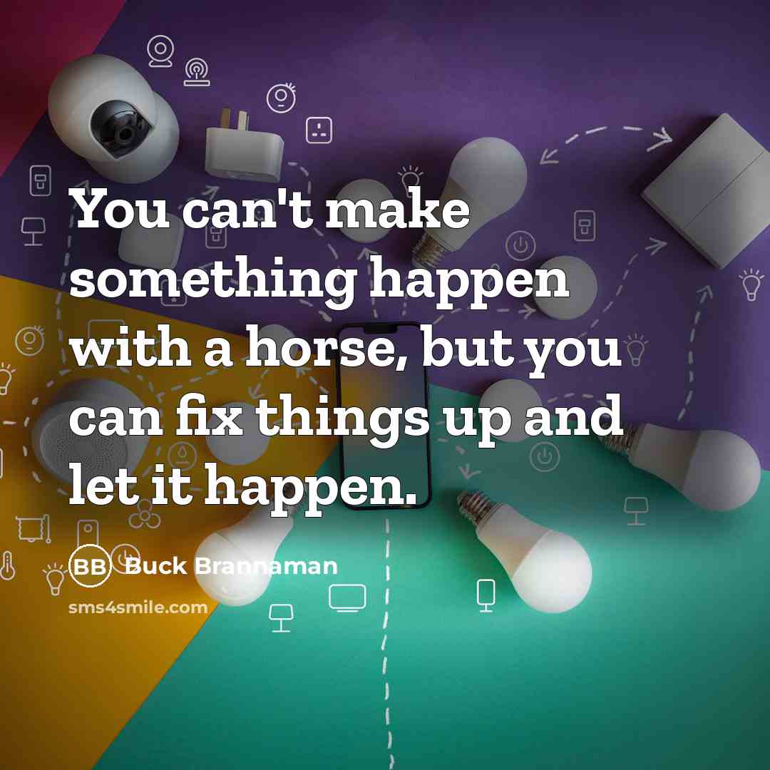“You can't make something happen with a horse, but you…” quote by Buck Brannaman