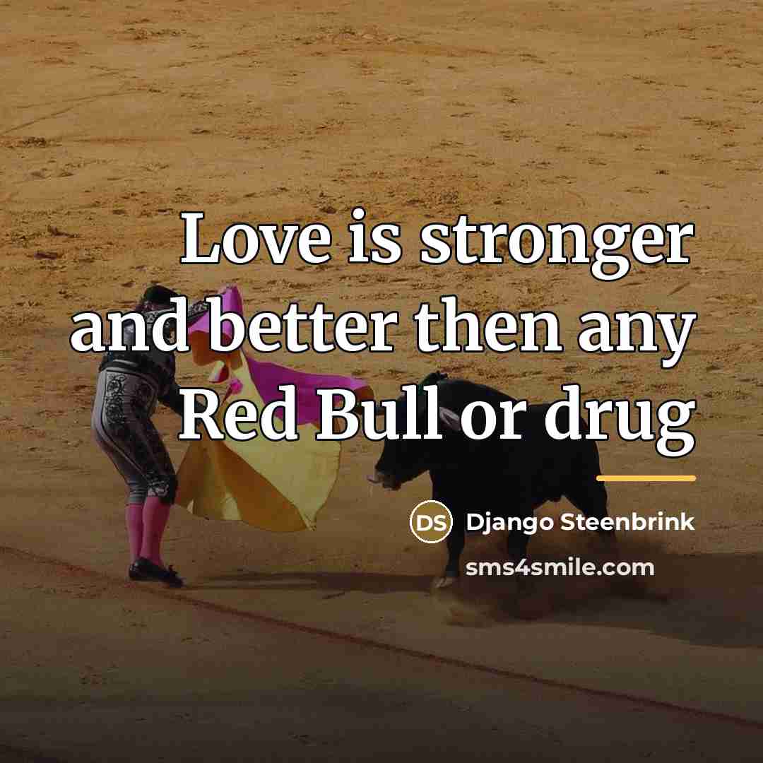 “Love is stronger and better then any Red Bull or…” quote by Django Steenbrink