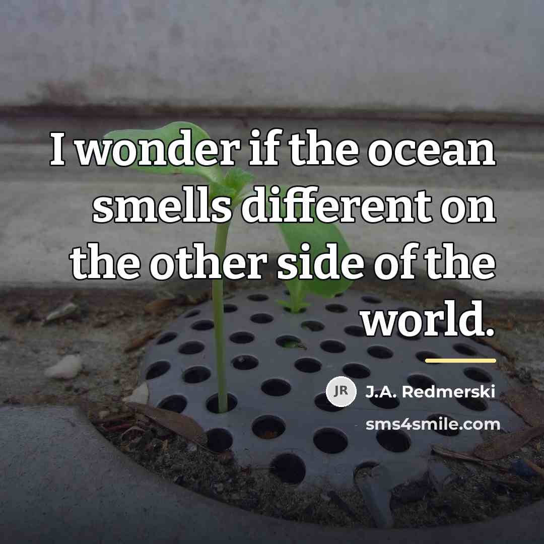 “I wonder if the ocean smells different on the other…” quote by J.A. Redmerski