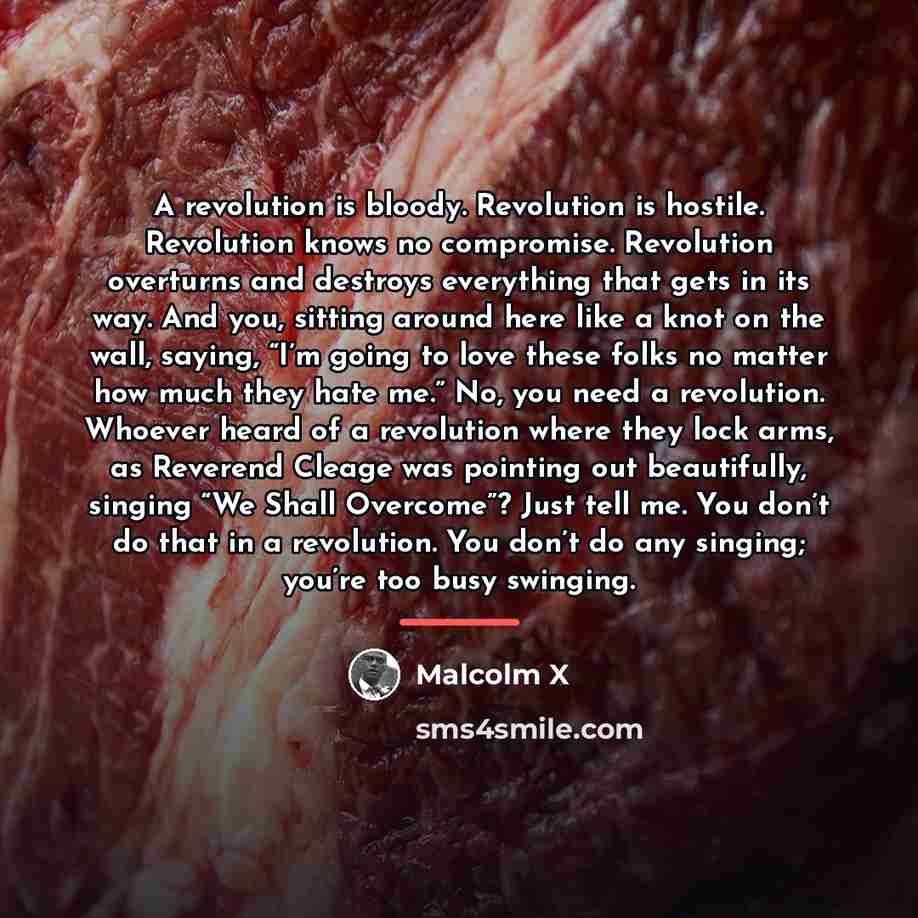 “A revolution is bloody. Revolution is hostile. Revolution knows no…” quote by Malcolm X
