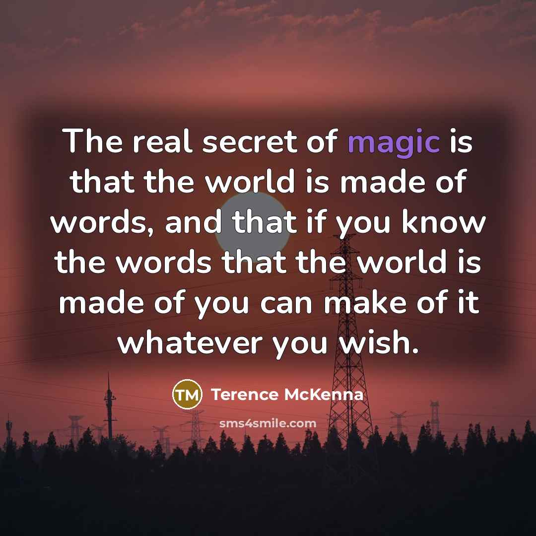 “The real secret of magic is that the world is…” quote by Terence McKenna