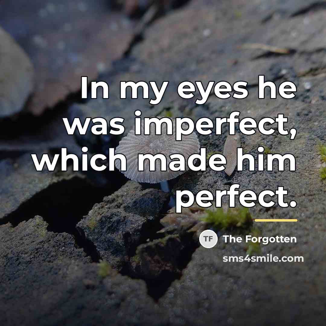 “In my eyes he was imperfect, which made him perfect.…” quote by The Forgotten