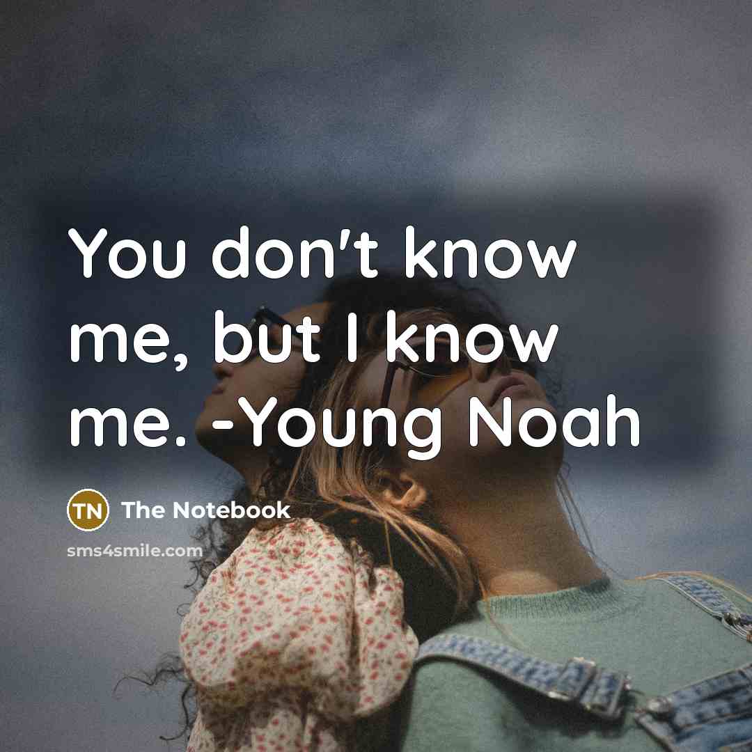 “You don't know me, but I know me. -Young Noah” quote by The Notebook