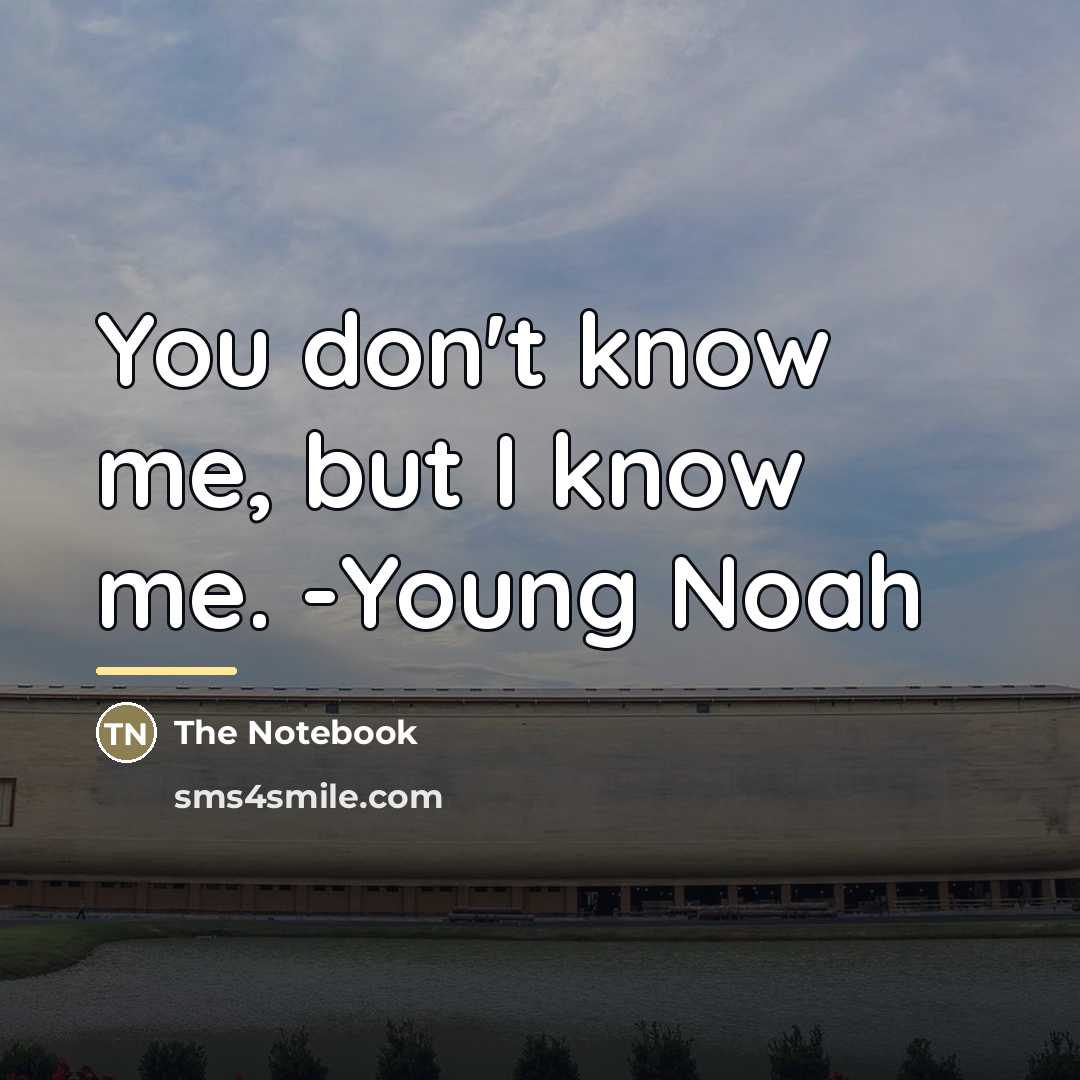 “You don't know me, but I know me. -Young Noah…” quote by The Notebook