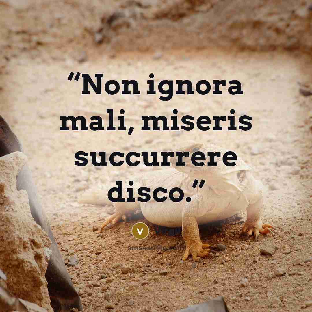“Non ignora mali, miseris succurrere disco.” quote by Virgil