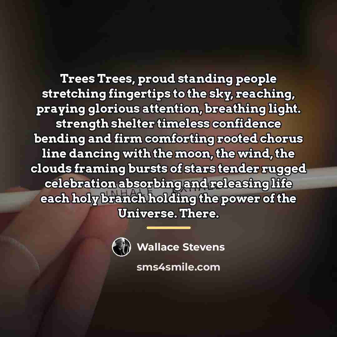 “Trees Trees, proud standing people stretching fingertips to the sky,…” quote by Wallace Stevens