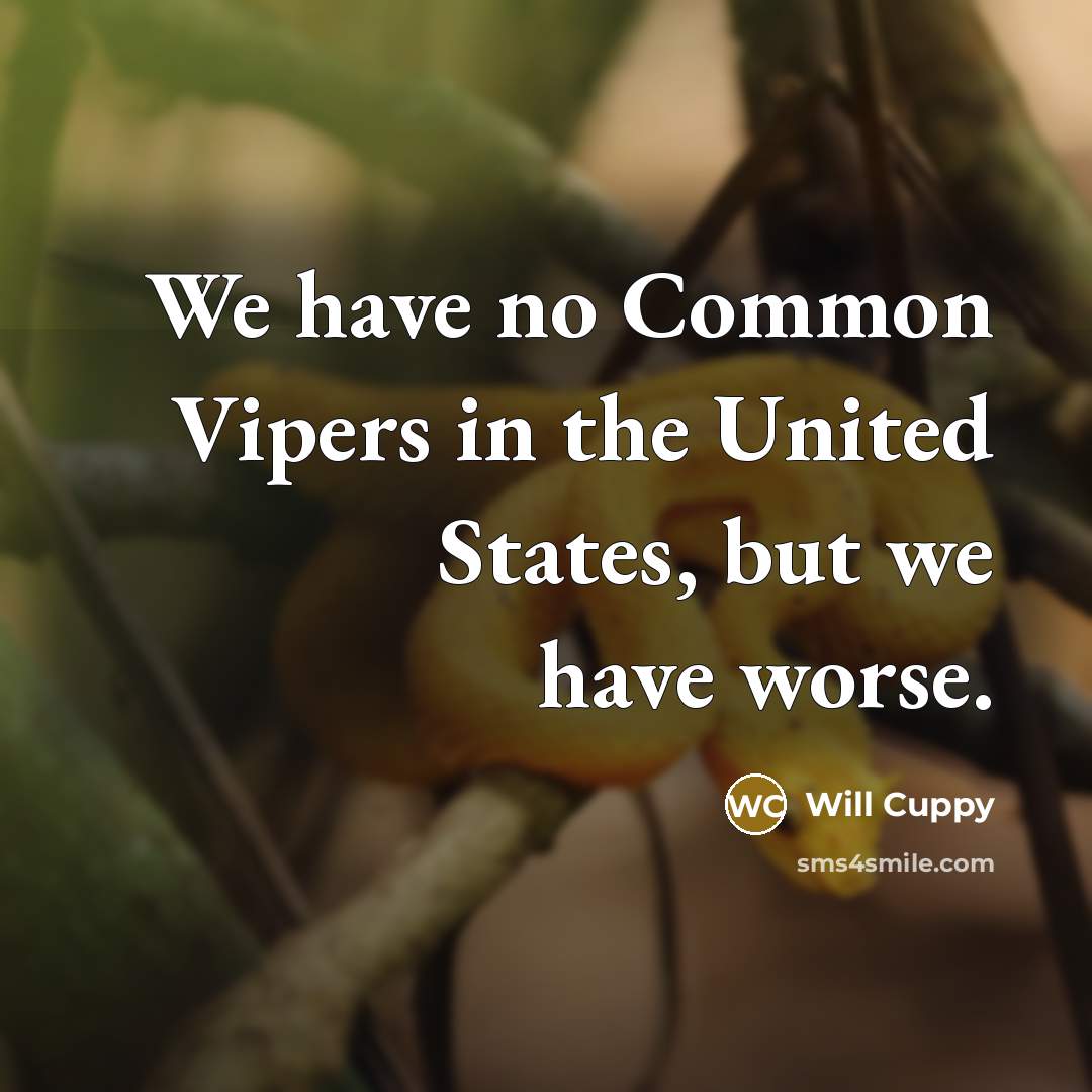 “We have no Common Vipers in the United States, but…” quote by Will Cuppy