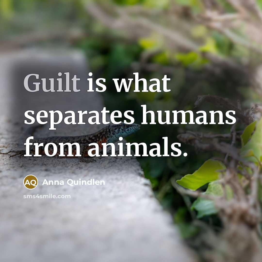 “Guilt is what separates humans from animals.…” quote by Anna Quindlen