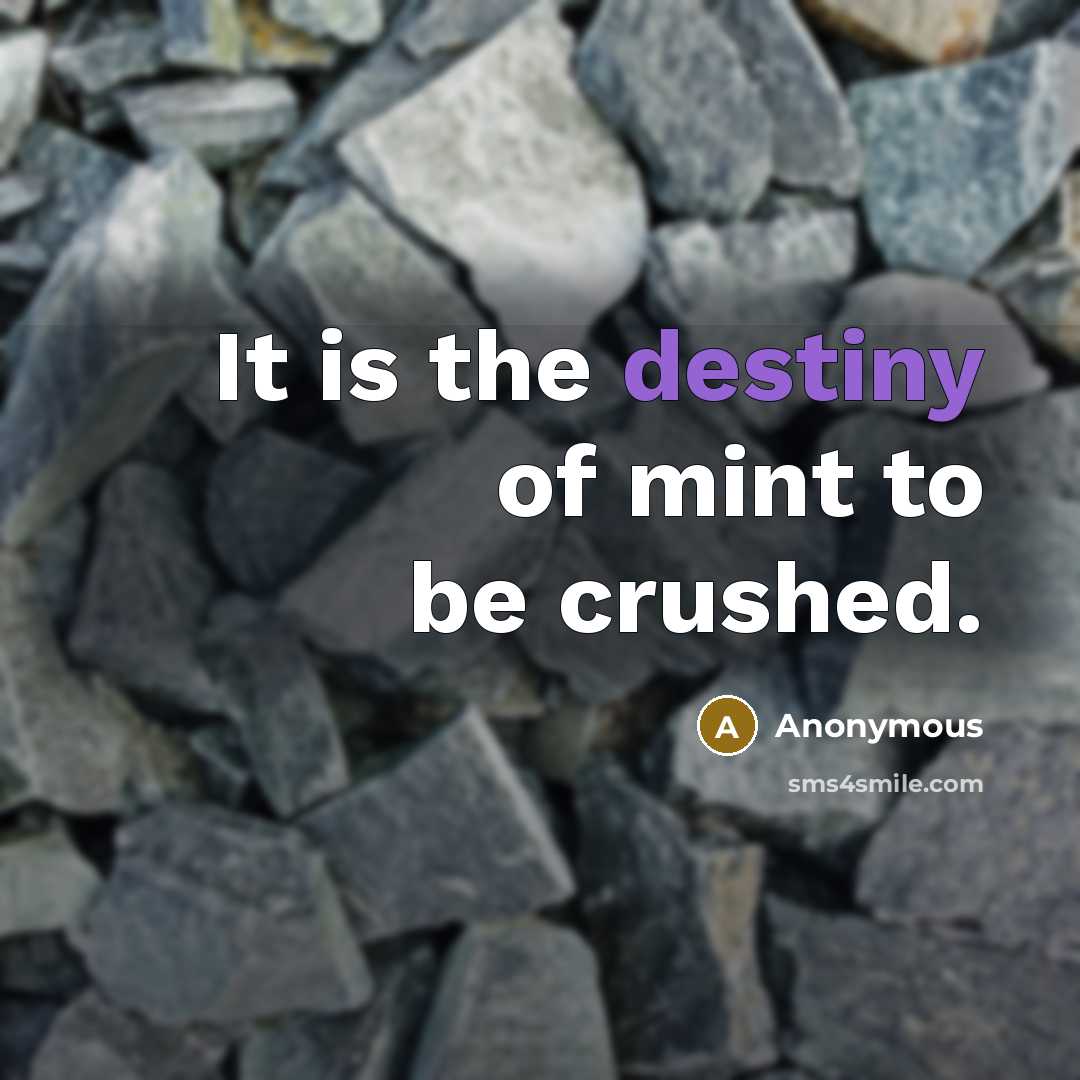 “It is the destiny of mint to be crushed.…” quote by Anonymous