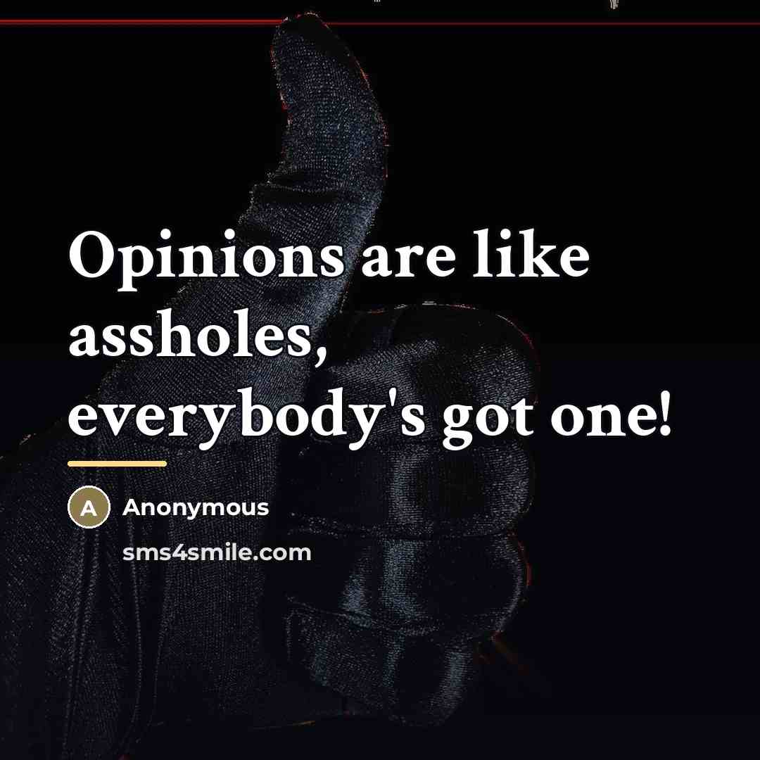 “Opinions are like assholes, everybody's got one!…” quote by Anonymous