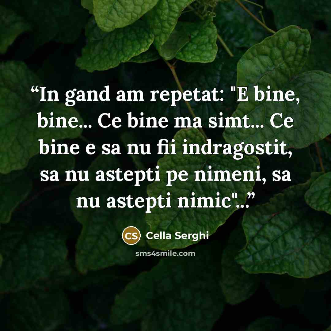 “In gand am repetat: "E bine, bine... Ce bine ma simt... Ce bine e sa nu fii indragostit, sa nu astepti pe nimeni, sa nu astepti nimic"...” quote by cella serghi